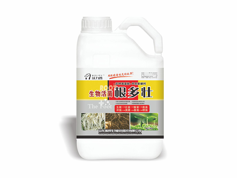 根多壯