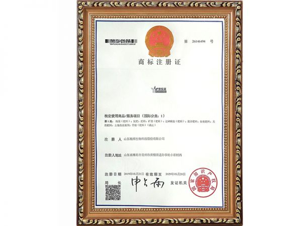 資質(zhì)證書